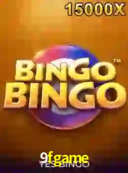 bingobingo